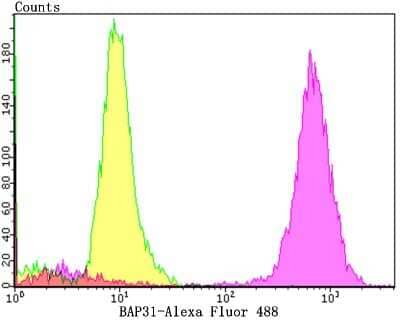 Flow Cytometry: BCAP31 Antibody (JG37-81) [NBP2-75416] - Analysis of PC-3M cells with BAP31 antibody at 1/100 dilution (purple) compared with an unlabelled control (cells without incubation with primary antibody; yellow).  Alexa Fluor 488-conjugated goat anti-rabbit IgG was used as the secondary antibody.