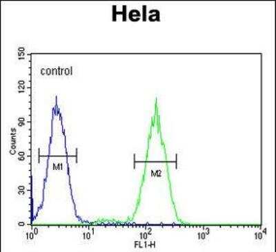 Flow Cytometry: BCKDHB Antibody (RB20925) [NBP2-29984] - BCKDHB Antibody (N-term) (NBP2-29984) flow cytometric analysis of Hela cells (right histogram) compared to a negative control cell (left histogram).FITC-conjugated goat-anti-rabbit secondary antibodies were used for the analysis.