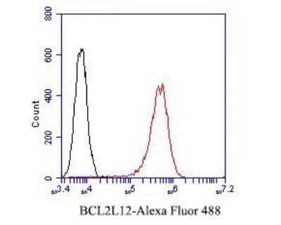 Flow Cytometry: BCL2L12 Antibody (JE51-66) [NBP2-80451] - Analysis of BCL2L12 was done on A431 cells. The cells were fixed, permeabilized and stained with the primary antibody (1/50) (red). After incubation of the primary antibody at room temperature for an hour, the cells were stained with a Alexa Fluor 488-conjugated Goat anti-Rabbit IgG Secondary antibody at 1/1000 dilution for 30 minutes. Unlabeled sample was used as a control (cells without incubation with primary antibody; black).