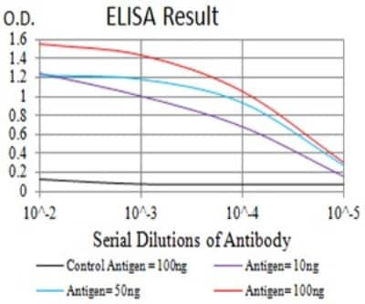 ELISA: BCL9-2 Antibody (1C9G2) [NBP2-61705] - Black line: Control Antigen (100 ng);Purple line: Antigen (10ng); Blue line: Antigen (50 ng); Red line:Antigen (100 ng)