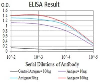 ELISA: BCL9-2 Antibody (3B9C1) [NBP2-61823] - Black line: Control Antigen (100 ng);Purple line: Antigen (10ng); Blue line: Antigen (50 ng); Red line:Antigen (100 ng)