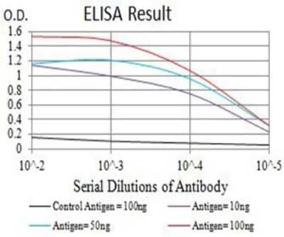 ELISA: BCR Antibody (1E11G12) [NBP2-61707] - Black line: Control Antigen (100 ng);Purple line: Antigen (10ng); Blue line: Antigen (50 ng); Red line:Antigen (100 ng)