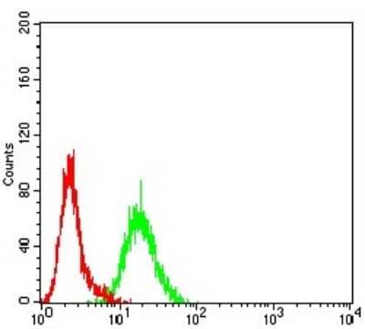 Flow Cytometry: BCR Antibody (1E11G12) [NBP2-61707] - Analysis of K562 cells using BCR mouse mAb (green) and negative control (red).