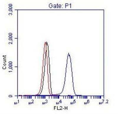 Flow Cytometry: BCR Antibody [NBP1-19097] - Flow Cytometric Detection of BCR. 1 x 106 K562 cells were fixed, permeabilized, and stained with 0.25 mcg anti-BCR in a 150 mcl reaction. Isotype anti-KLH control (black), no antibody (red) and anti-BCR (blue).