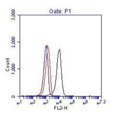 Flow Cytometry: BCR Antibody [NBP1-19098] - Flow Cytometric Detection of BCR. 1 x 106 K562 cells were fixed, permeabilized, and stained with 0.25 mcg anti-BCR in a 150 mcl reaction. Isotype anti-KLH control (red), no antibody (blue) and anti-BCR  (black).