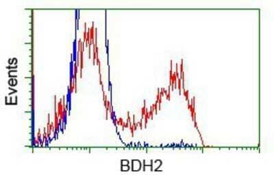 Flow Cytometry: BDH2 Antibody (OTI2G1) - Azide and BSA Free [NBP2-72067] - HEK293T cells transfected with either overexpression plasmid (Red) or empty vector control plasmid (Blue) were immunostaining by anti-BDH2 antibody, and then analyzed by flow cytometry.