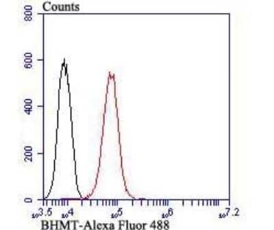 Flow Cytometry: BHMT Antibody (9E1) [NBP2-75418] - Analysis of HepG2 cells with BHMT antibody at 1/100 dilution (red) compared with an unlabelled control (cells without incubation with primary antibody; black). Alexa Fluor 488-conjugated goat anti-mouse IgG1 was used as the secondary antibody.