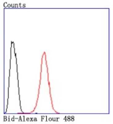 Flow Cytometry: BID Antibody (JM11-14) [NBP2-67190] - Analysis of Hela cells with Bid antibody at 1/50 dilution (red) compared with an unlabelled control (cells without incubation with primary antibody; black). Alexa Fluor 488-conjugated goat anti rabbit IgG was used as the secondary