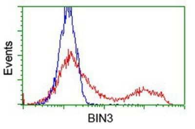 Flow Cytometry BIN3 Antibody (OTI8E9)