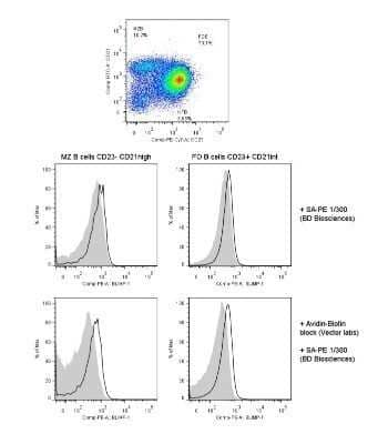 Flow Cytometry: BLIMP1/PRDM1 Antibody (3H2-E8) - Azide and BSA Free [NBP2-80597] - Analysis using the Biotin conjugate of NB600-235. Staining of Blimp-1 in mouse spleen. Image courtesy of product review by Branislav Krljanac.