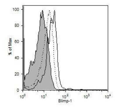 Flow Cytometry: BLIMP1/PRDM1 Antibody (3H2-E8) - Azide and BSA Free [NBP2-80597] - Blimp-1 expression by IL-10+ (black line), IL-10- (dotted line) or CD8+ (thin, shaded line) cells (Tedder Lab; Duke Univ) Image from the standard format of this antibody.