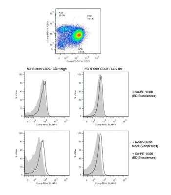 Flow Cytometry: BLIMP1/PRDM1 Antibody (3H2-E8) [Biotin] [NB600-235B] - Blimp-1 in mouse spleen. Image courtesy of product review by Branislav Krljanac.