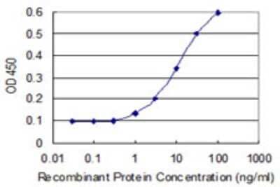 Sandwich ELISA: BLZF1 Antibody (2E10) [H00008548-M02] - Detection limit for recombinant GST tagged BLZF1 is 0.3 ng/ml as a capture antibody.