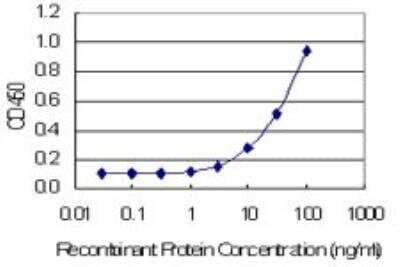 ELISA: BMP-2 Antibody (1A11) [H00000650-M02] - Detection limit for recombinant GST tagged BMP2 is 1 ng/ml as a capture antibody.