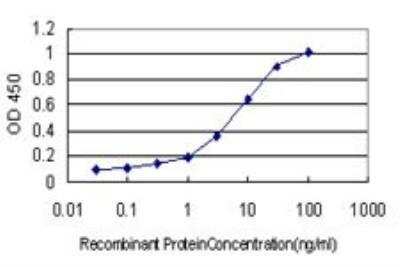 ELISA: BMPR-IB/ALK-6 Antibody (3A8) [H00000658-M02] - Detection limit for recombinant GST tagged BMPR1B is approximately 0.3ng/ml as a capture antibody.