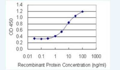 ELISA: BNIP2 Antibody (8C6) [H00000663-M02-100ug] - Detection limit for recombinant GST tagged BNIP2 is 0.3 ng/ml as a capture antibody.