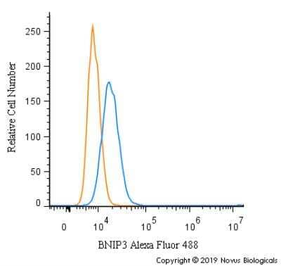 Flow Cytometry: BNIP3 Antibody [Alexa Fluor® 488] [NBP1-77683AF488] - An intracellular stain was performed on PC12 cells with BNIP3 Antibody NBP1-77683AF488 (blue) and a matched isotype control (orange). Cells were fixed with 4% PFA and then permeabilized with 0.1% saponin. Cells were incubated in an antibody dilution of 10 ug/mL for 30 minutes at room temperature. Both antibodies were conjugated to Alexa Fluor 488.