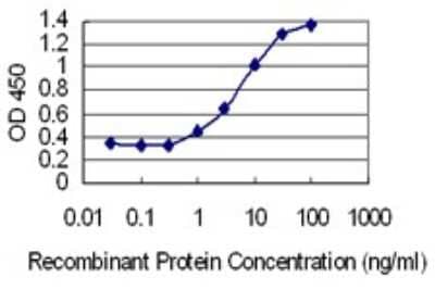 Sandwich ELISA: BOD1P Antibody (1C9) [H00284257-M01] - Detection limit for recombinant GST tagged FAM44C is 0.3 ng/ml as a capture antibody.