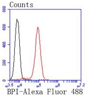 Flow Cytometry: BPI Antibody (SN06-63) [NBP2-67694] - Analysis of Jurkat cells with BPI antibody at 1/50 dilution (red) compared with an unlabelled control (cells without incubation with primary antibody; black). Alexa Fluor 488-conjugated goat anti rabbit IgG was used as the secondary antibody.