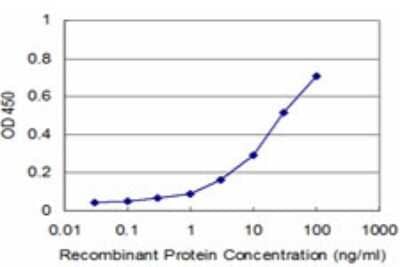 Sandwich ELISA: BPNT1 Antibody (3D4) [H00010380-M02] - Detection limit for recombinant GST tagged BPNT1 is approximately 1ng/ml as a capture antibody.