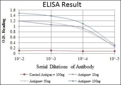 ELISA: BPTF/FALZ Antibody (2F10) [NBP2-37608] - Red: Control Antigen (100ng); Purple: Antigen (10ng); Green: Antigen (50ng); Blue: Antigen (100ng);