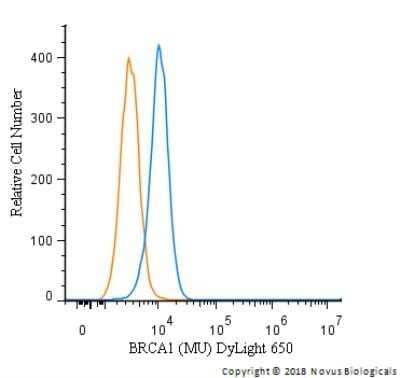 Flow Cytometry: BRCA1 Antibody (MU) - Azide and BSA Free [NBP2-80602] - An intracellular stain was performed on MCF7 cells with BRCA1 Antibody [MU] NB100-600C (blue) and a matched isotype control (orange). Cells were fixed with 4% PFA and then permeabilized with 0.1% saponin. Cells were incubated in an antibody dilution of 2.5 ug/mL for 30 minutes at room temperature. Both antibodies were directly conjugated to DyLight 650.