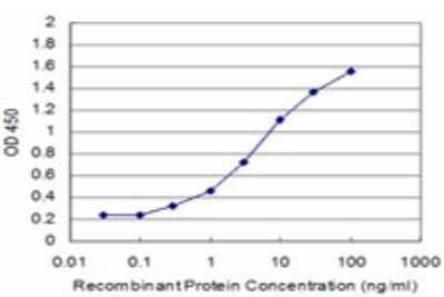 Sandwich ELISA: BRD3 Antibody (7G6) [H00008019-M02] - Detection limit for recombinant GST tagged BRD3 is approximately 0.3ng/ml as a capture antibody.