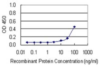 Sandwich ELISA: BRF1 Antibody (2E9) [H00002972-M01] - Detection limit for recombinant GST tagged BRF1 is 3 ng/ml as a capture antibody.