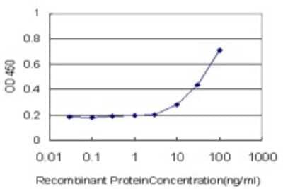 Sandwich ELISA: BRMS1 Antibody (2D4-2G11) [H00025855-M01] - Detection limit for recombinant GST tagged BRMS1 is approximately 3ng/ml as a capture antibody.