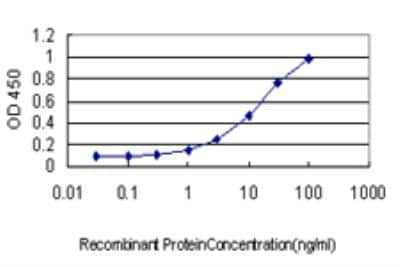 ELISA: BRMS1 Antibody (M1) [H00025855-M03] - Detection limit for recombinant GST tagged BRMS1 is approximately 0.3ng/ml as a capture antibody.