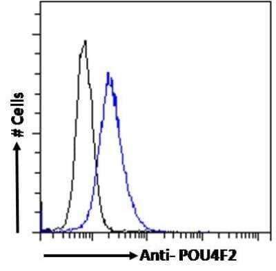 Flow Cytometry: BRN3B/POU4F2 Antibody [NBP2-75098] - analysis of paraformaldehyde fixed MCF7 cells (blue line), permeabilized with 0.5% Triton. Primary incubation 1hr (10ug/ml) followed by Alexa Fluor 488 secondary antibody (1ug/ml). IgG control: Unimmunized goat IgG (black line) followed by Alexa Fluor 488 secondary antibody.