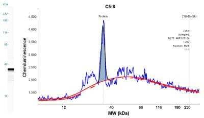 Simple Western: BST2 Antibody - Azide Free [NBP2-45265] - Lane view shows a specific band for BST2 using 0.5 mg/mL Jurkat cell lysate and antibody at 1:200. Electoropherogram image of corresponding Simple Western lane view. Image reported by internal validation.