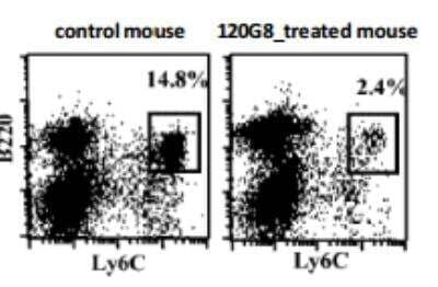 Flow Cytometry: BST2 Antibody (120G8.04) [DDX0390P-100] - In vivo depletion of mouse PDCs (gated on CD11c+CD3- cells).