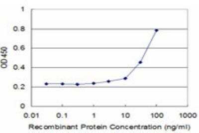 ELISA: BST2 Antibody (3H4) [H00000684-M02] - Detection limit for recombinant GST tagged BST2 is approximately 3ng/ml as a capture antibody.