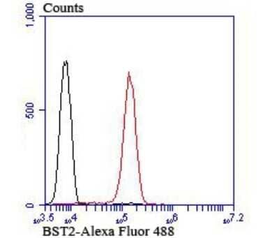 Flow Cytometry: BST2 Antibody (JU11-93) [NBP2-75423] - Analysis of Jurkat cells with BST2 antibody at 1/100 dilution (red) compared with an unlabelled control (cells without incubation with primary antibody; black).