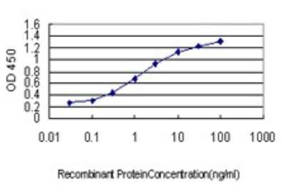 Sandwich ELISA: BTBD9 Antibody (3H3) [H00114781-M01] - Detection limit for recombinant GST tagged BTBD9 is approximately 0.03ng/ml as a capture antibody.