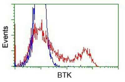 Flow Cytometry: BTK Antibody (OTI3A2) - Azide and BSA Free [NBP2-70291] - HEK293T cells transfected with either pCMV6-ENTRY BTK.(Red) or empty vector control plasmid (Blue) were immunostaining with anti-BTK mouse monoclonal, and then analyzed by flow cytometry.