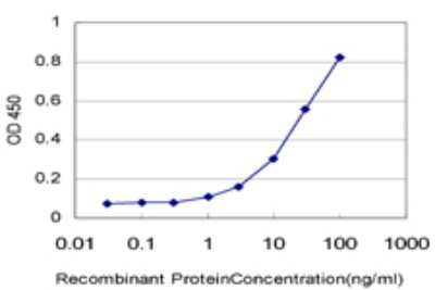 Sandwich ELISA: BUD31 Antibody (1E10) [H00008896-M10] - Detection limit for recombinant GST tagged G10 is approximately 1ng/ml as a capture antibody.