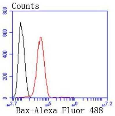Flow Cytometry: Bax Antibody (SZ3-07) [NBP2-67365] - Analysis of Hela cells with Bax antibody at 1/50 dilution (red) compared with an unlabelled control (cells without incubation with primary antibody; black). Alexa Fluor 488-conjugated goat anti rabbit IgG was used as the secondary antibody.