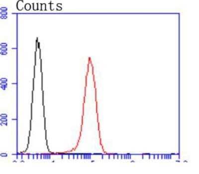 Flow Cytometry: Bcl-2 Antibody (SZ10-03) [NBP2-67351] - Analysis of Bcl-2 was done on Jurkat cells. The cells were fixed, permeabilized and stained with the primary antibody (1/50) (red). After incubation of the primary antibody at room temperature for an hour, the cells were stained with a Alexa Fluor 488-conjugated Goat anti-Rabbit IgG Secondary antibody at 1/1000 dilution for 30 minutes.Unlabelled sample was used as a control (cells without incubation with primary antibody; black).