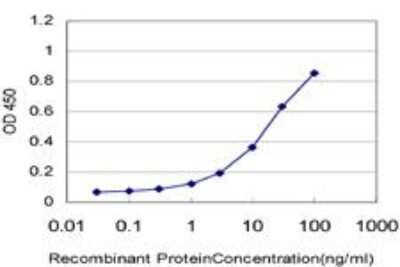 ELISA: Beta-1,3-N-Acetylglucosaminyltransferase 2/B3GNT2 Antibody (1A8) [H00010678-M05] - Detection limit for recombinant GST tagged B3GNT1 is approximately 0.3ng/ml as a capture antibody.