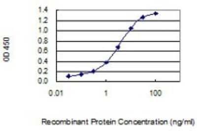 ELISA: Biglycan Antibody (4E1-1G7) [H00000633-M01] - Detection limit for recombinant GST tagged BGN is 0.03 ng/ml as a capture antibody.