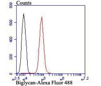 Flow Cytometry: Biglycan Antibody (JB71-31) [NBP2-75419] - Analysis of HepG2 cells with Biglycan antibody at 1/100 dilution (red) compared with an unlabelled control (cells without incubation with primary antibody; black). Alexa Fluor 488-conjugated goat anti-rabbit IgG was used as the secondary antibody.