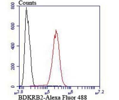 Flow Cytometry: Bradykinin RB2/BDKRB2 Antibody (JU39-04) [NBP2-75421] - Analysis of SH-SY5Y cells with BDKRB2 antibody at 1/100 dilution (red) compared with an unlabelled control (cells without incubation with primary antibody; black).