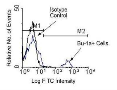 Flow Cytometry: Bu-1a Antibody (21-1A4) [FITC] [NBP1-28320] - Chicken peripheral blood mononuclear cells were first incubated with purified mouse anti-chicken Bu-1a and then counter-stained with goat anti-mouse IgG-FITC. Small lymphocytes were gated using light scatter criteria and analyzed on a FACScan (Trademark) flow cytometer (BDB, San Jose, CA).