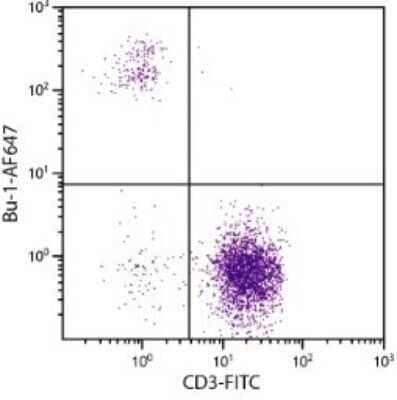 Flow Cytometry: Bu1 Antibody (AV20) [NBP1-28340] - Analysis using the Biotin conjugate of NBP1-28340. Multiple staining of peripheral blood mononuclear cells.