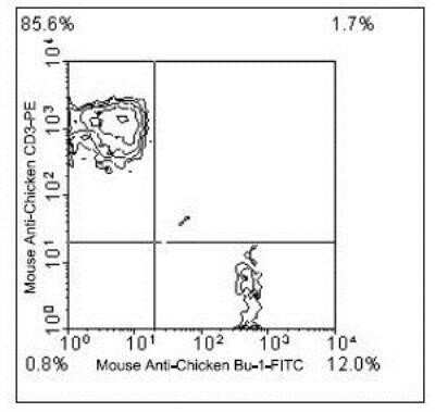 Flow Cytometry: Bu1 Antibody (AV20) [NBP1-28340] - Analysis using the FITC conjugate of NBP1-28340. Double staining of Chicken peripheral blood mononuclear cells with mouse anti-chicken CD3-R-PE and mouse anti-chicken Bu-1-FITC. Lymphocytes were then gated and the cells analyzed on a flow cytometer.