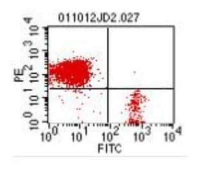 Flow Cytometry: Bu1 Antibody (AV20) [NBP1-28340] - Flow Cytometry: Bu1 Antibody (AV20) [FITC] [NBP1-28341] - 1ug w CD3-PE on Chicken PBMC Image using the FITC form of this antibody.