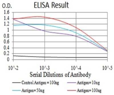 ELISA: Bub1 Antibody (1A11C7) [NBP2-61719] - Black line: Control Antigen (100 ng);Purple line: Antigen (10ng); Blue line: Antigen (50 ng); Red line:Antigen (100 ng)