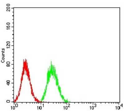 Flow Cytometry: Bub1 Antibody (1A11C7) [NBP2-61719] - Analysis of Hela cells using BUB1 mouse mAb (green) and negative control (red).